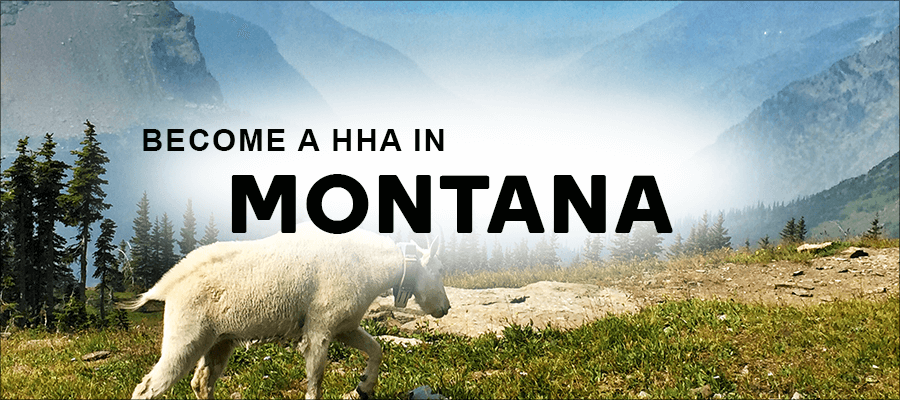 become a hha in Montana